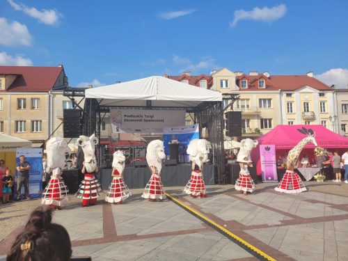 Rynek Kościuszki w Białymstoku na nim znajdują się, osoby z zespołu które są przebrane w kostiumy obrazujące zwierzęta oraz wykonują występ taneczny.