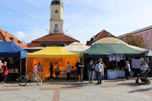 na pierwszym planie stoiska koła gospodyń wiejskich Barwianki w Dobrzyniówce gmina Zabłudów oraz Polskiego Stowarzyszenia Pedagogów i Animatorów KLANZA oddział w Białymstoku, na drugim planie ratusz w Biłumstoku