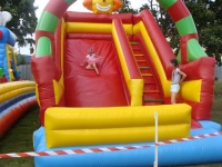 DSC07981